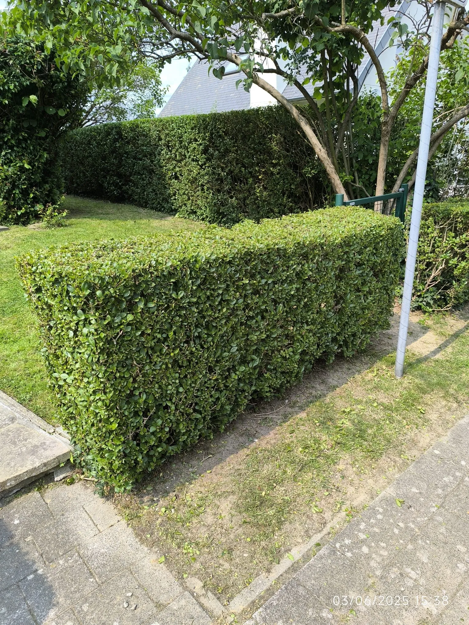 Imagen 21 — photo 24