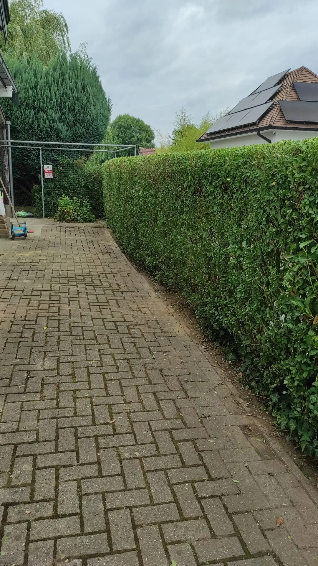 Imagen 21 — photo 28