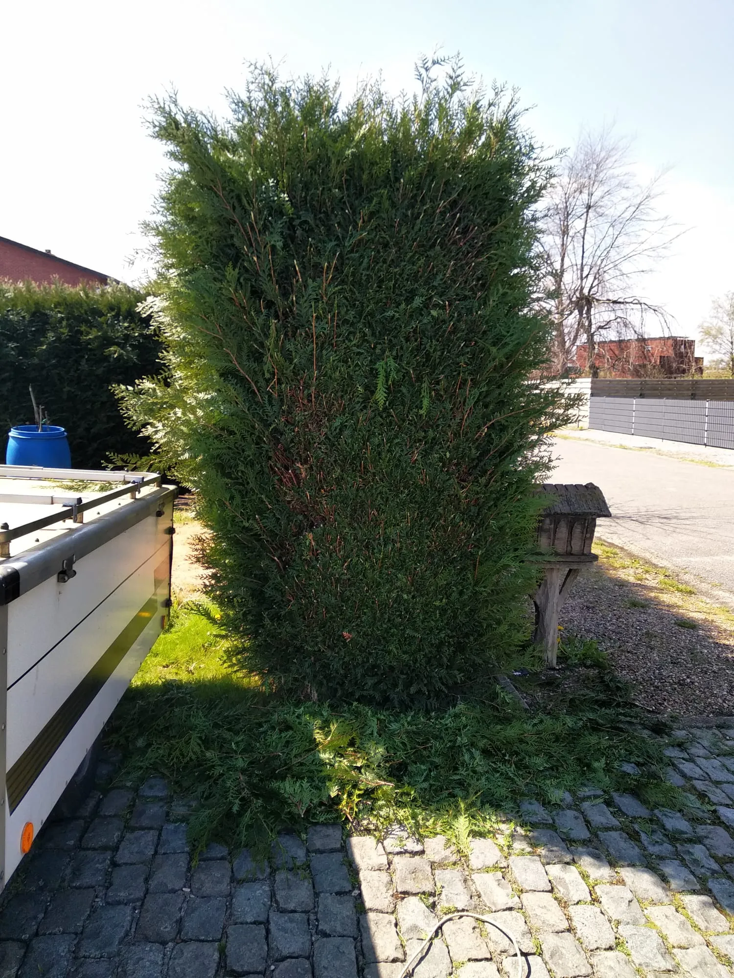 Imagen 21 — photo 6